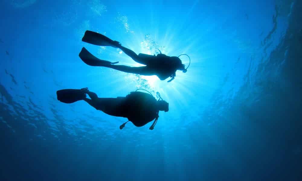 Best Conditions for hammerhead shark diving Cocos Island Adventures